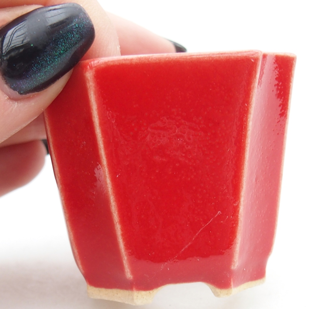 Cuenco mini bonsái 4,5 x 4,5 x 4 cm, color rojo