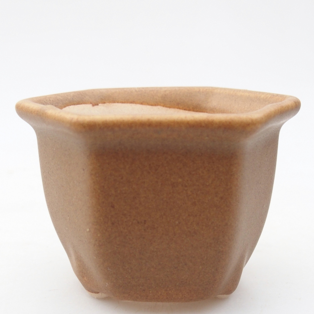 Cuenco mini bonsái 7,5 x 6,5 x 5 cm, marrón