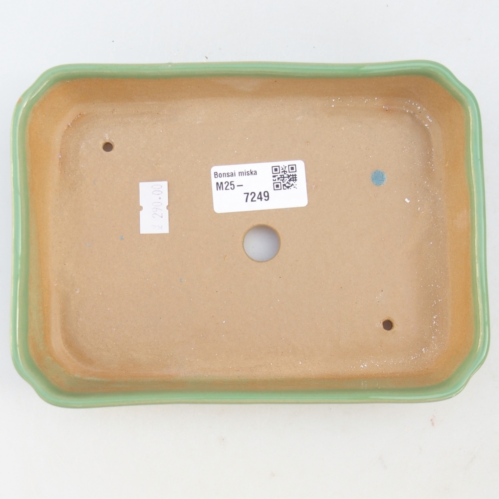 Cuenco bonsái de cerámica 18,5 x 13,5 x 3,5 cm, verde