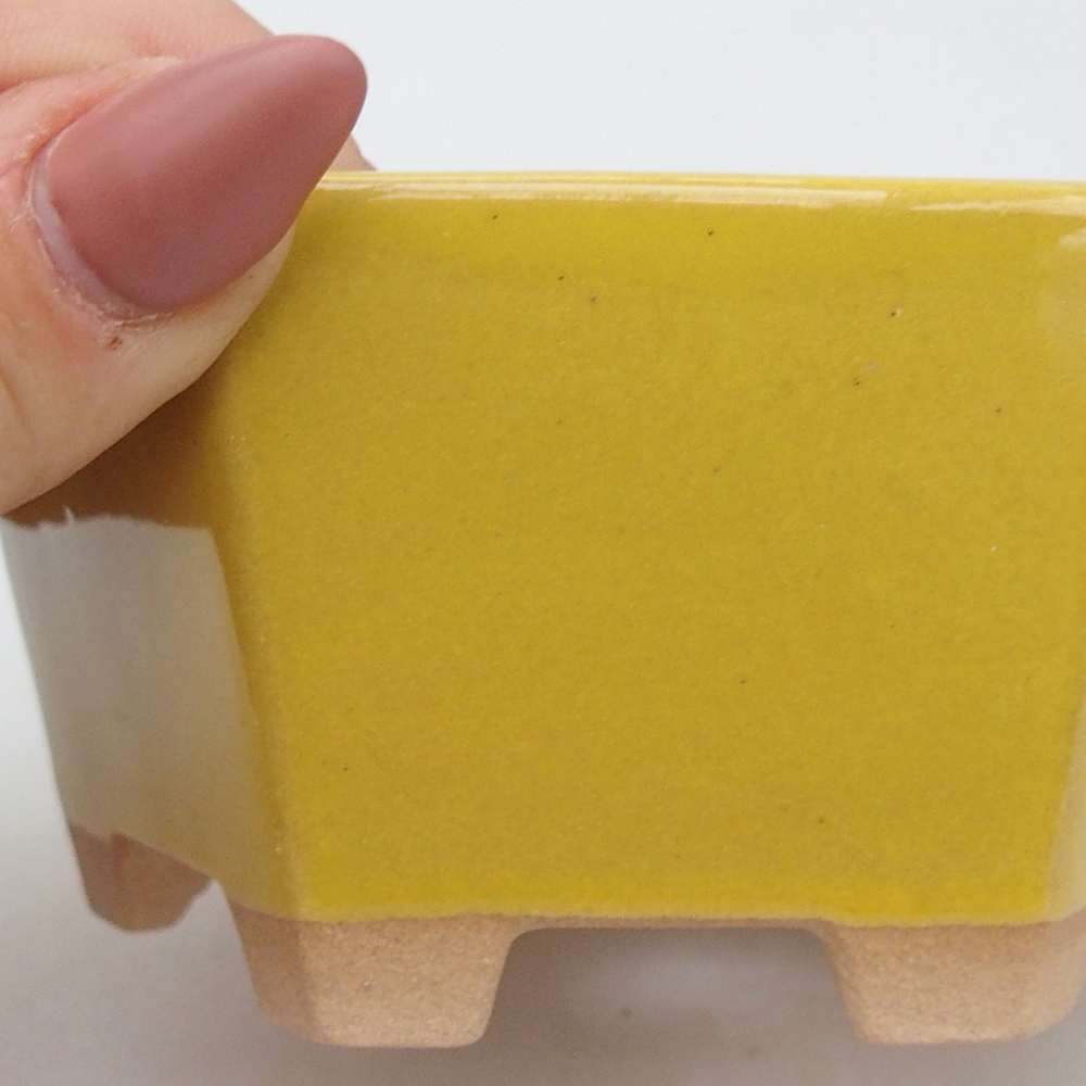 Cuenco bonsái de cerámica 10,5 x 9,5 x 5 cm, amarillo