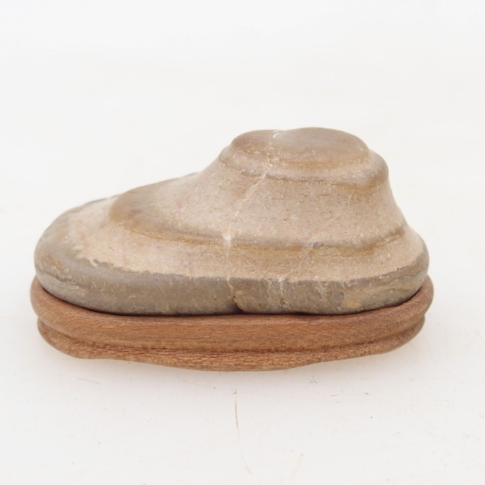 Suiseki - Piedra con DAI (base de madera)