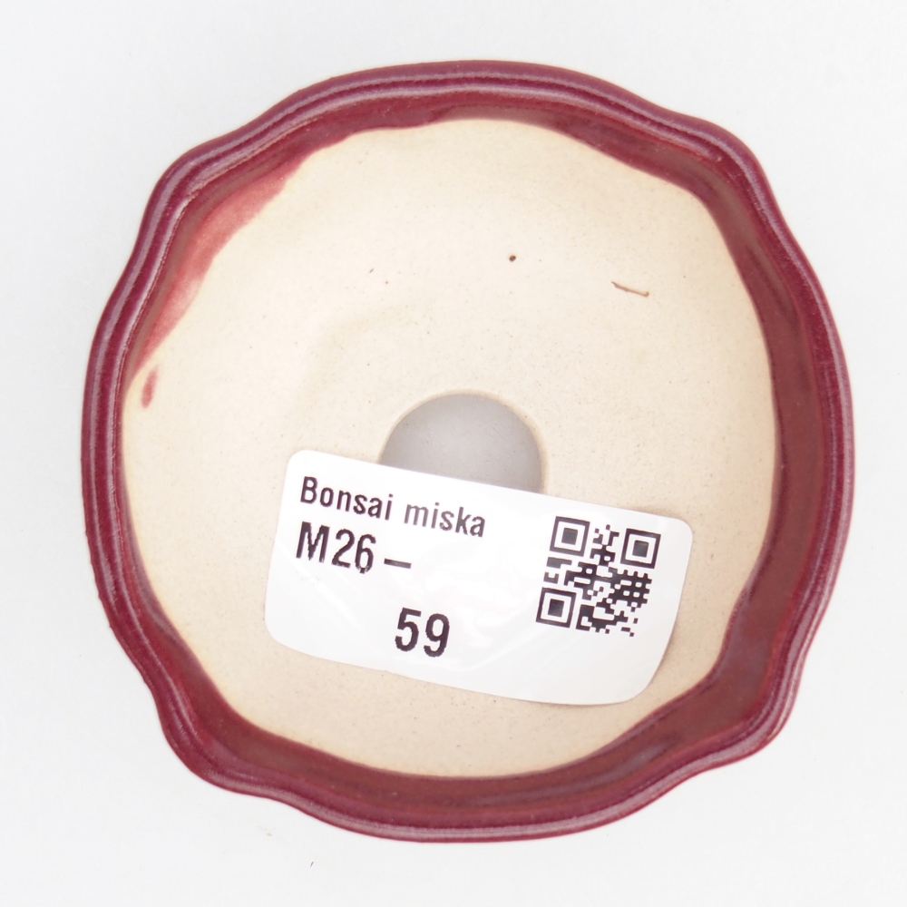 Cuenco mini bonsái 6,5 x 6,5 x 3 cm, burdeos