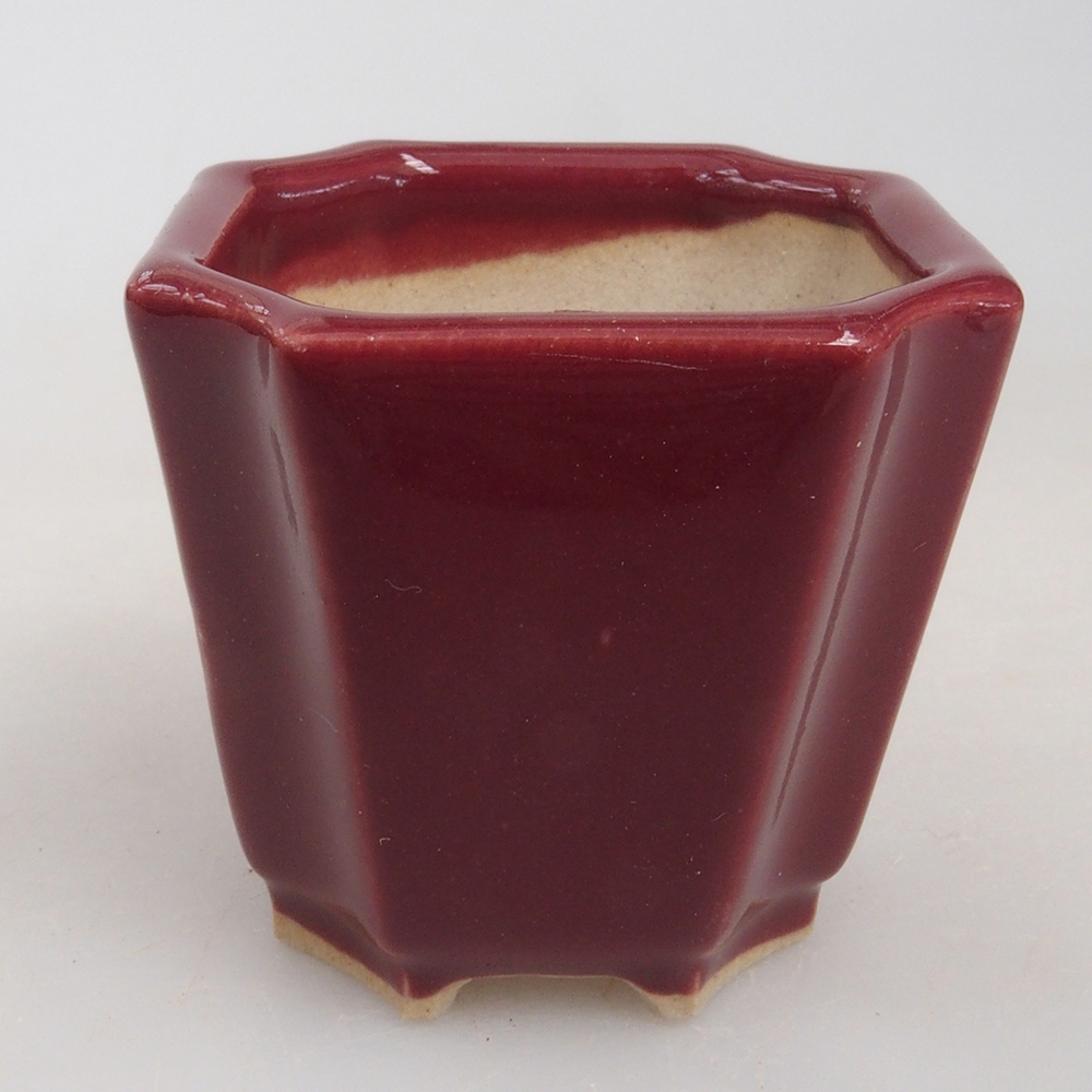 Cuenco mini bonsái 4 x 4 x 4 cm, burdeos