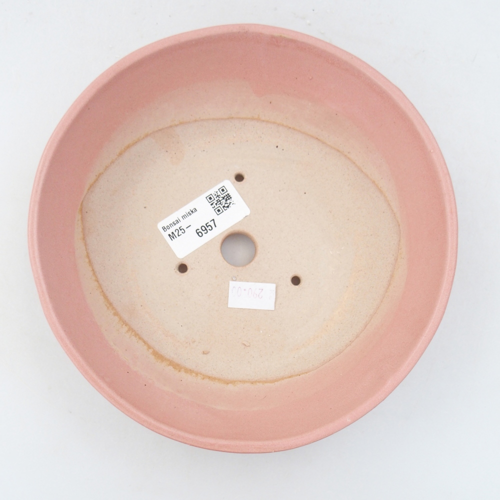 Cuenco bonsái de cerámica 18 x 18 x 5 cm, rosa