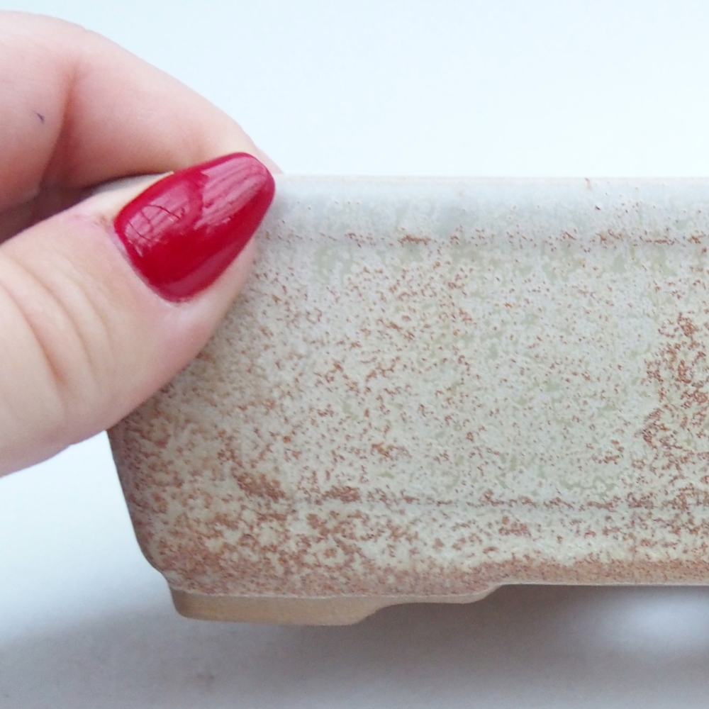 Cuenco bonsái de cerámica 13 x 10 x 5 cm, color beige