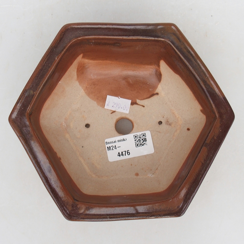 Cuenco bonsái de cerámica 17 x 15 x 6 cm, marrón