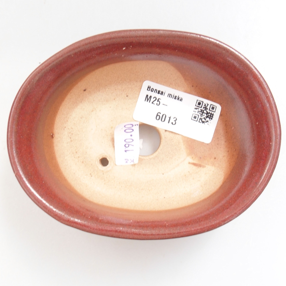 Cuenco bonsái de cerámica 22 x 17 x 5 cm, verde