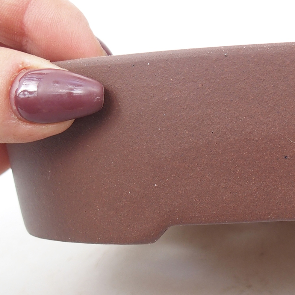 Cuenco bonsái de cerámica 15,5 x 11,5 x 4 cm, marrón