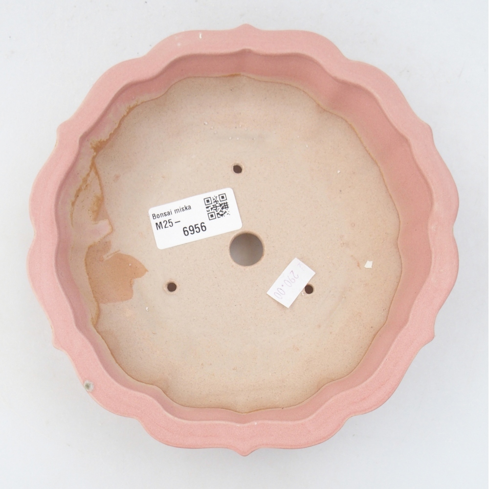 Cuenco bonsái de cerámica 19 x 19 x 5 cm, rosa