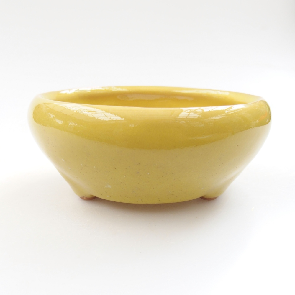 Cuenco bonsái de cerámica 22 x 17 x 5 cm, verde