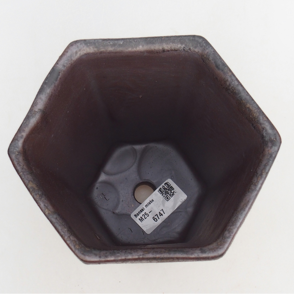 Cuenco bonsái de cerámica 12,5 x 11,5 x 16,5 cm, marrón