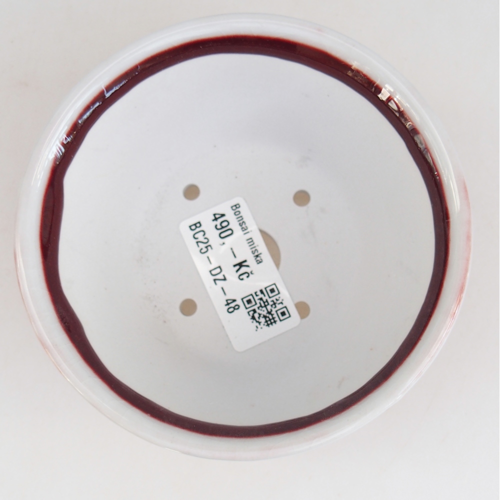 Cuenco bonsái de cerámica 10,5 x 10,5 x 5 cm, color rojo