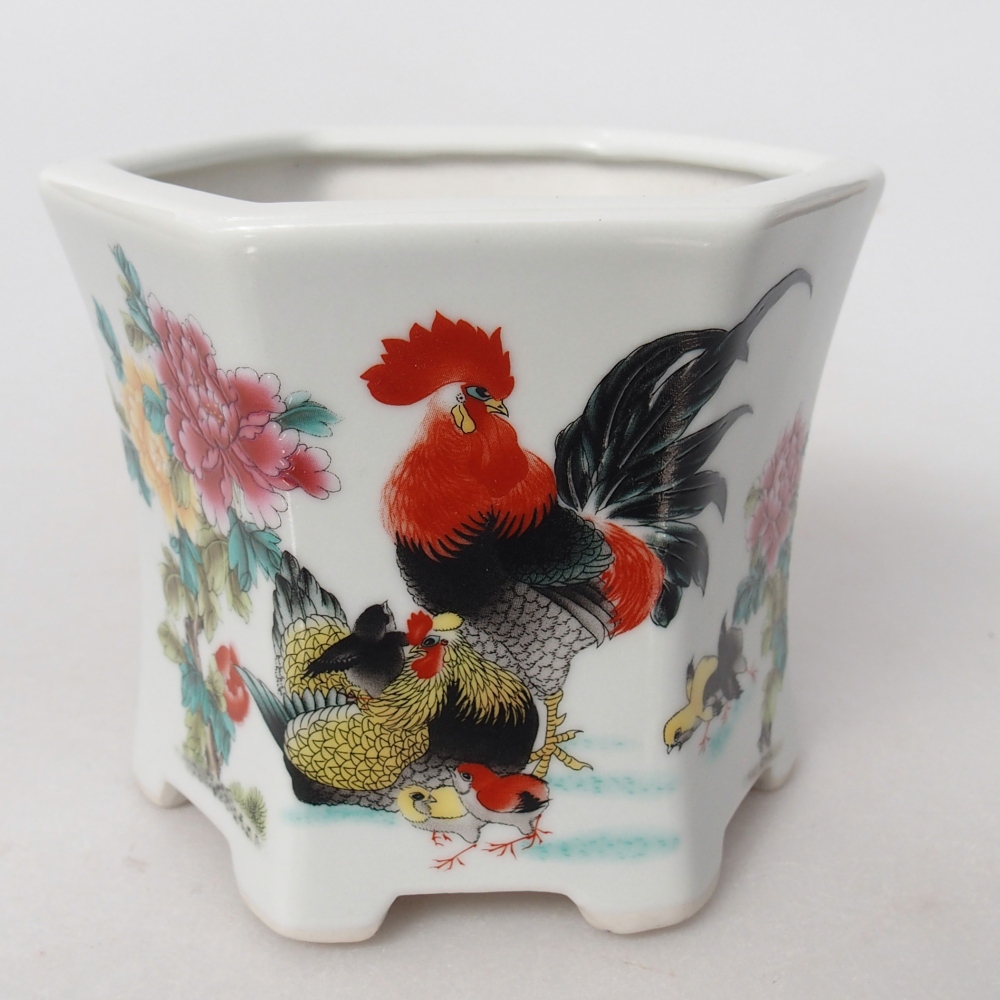 Cuenco bonsái de cerámica 10,5 x 9,5 x 9 cm, color blanco