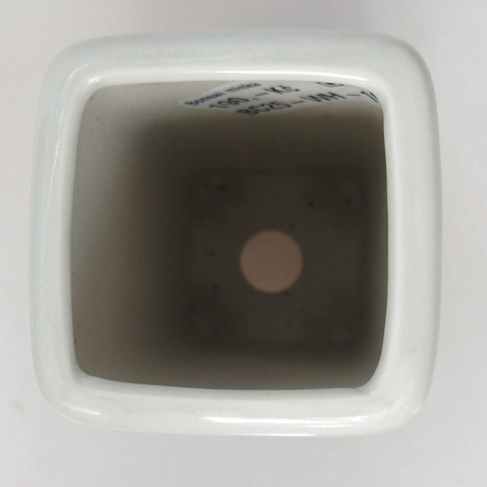 Cuenco bonsái de cerámica 5,5 x 5,5 x 12 cm, color blanco