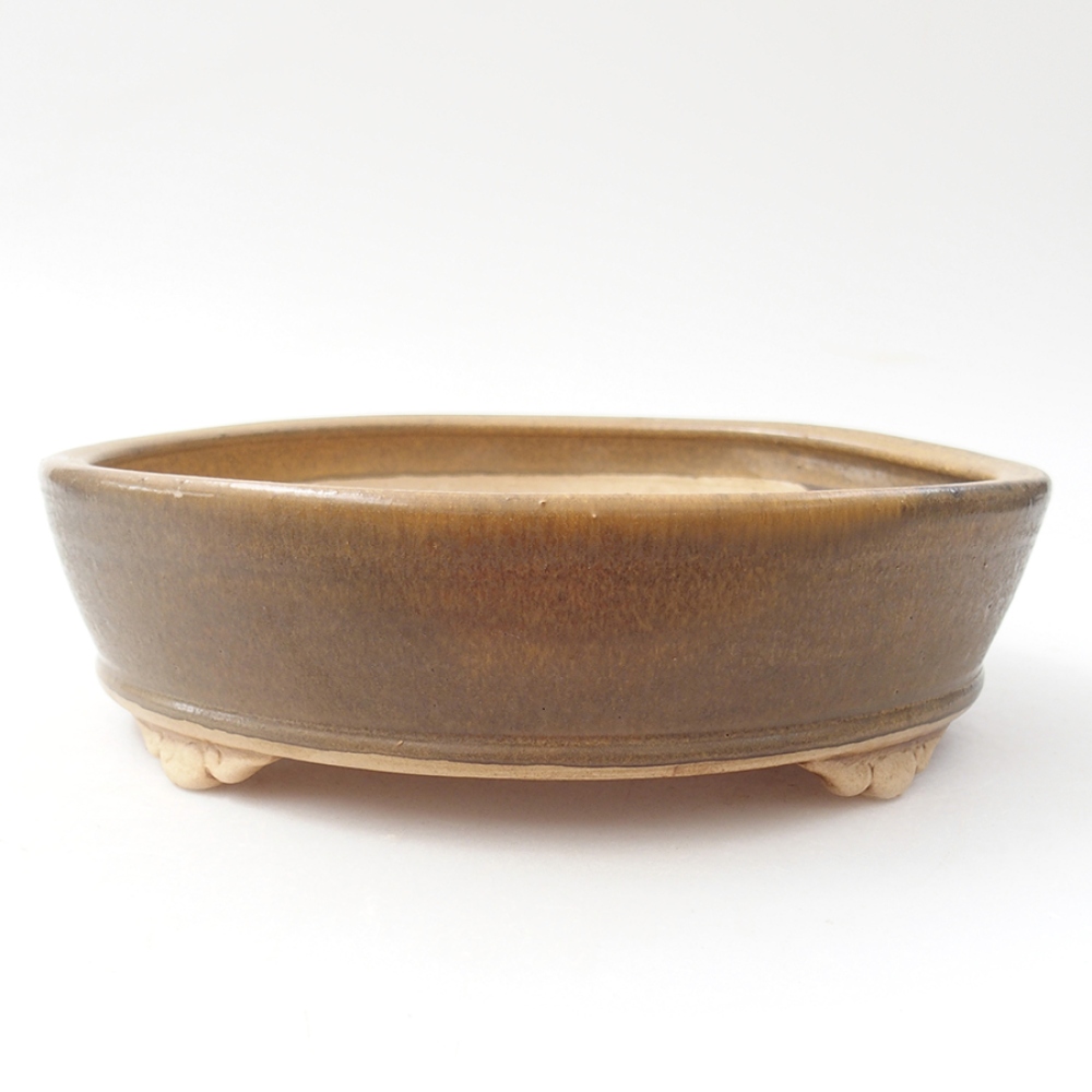 Cuenco bonsái de cerámica 21,5 x 21,5 x 6 cm, marrón