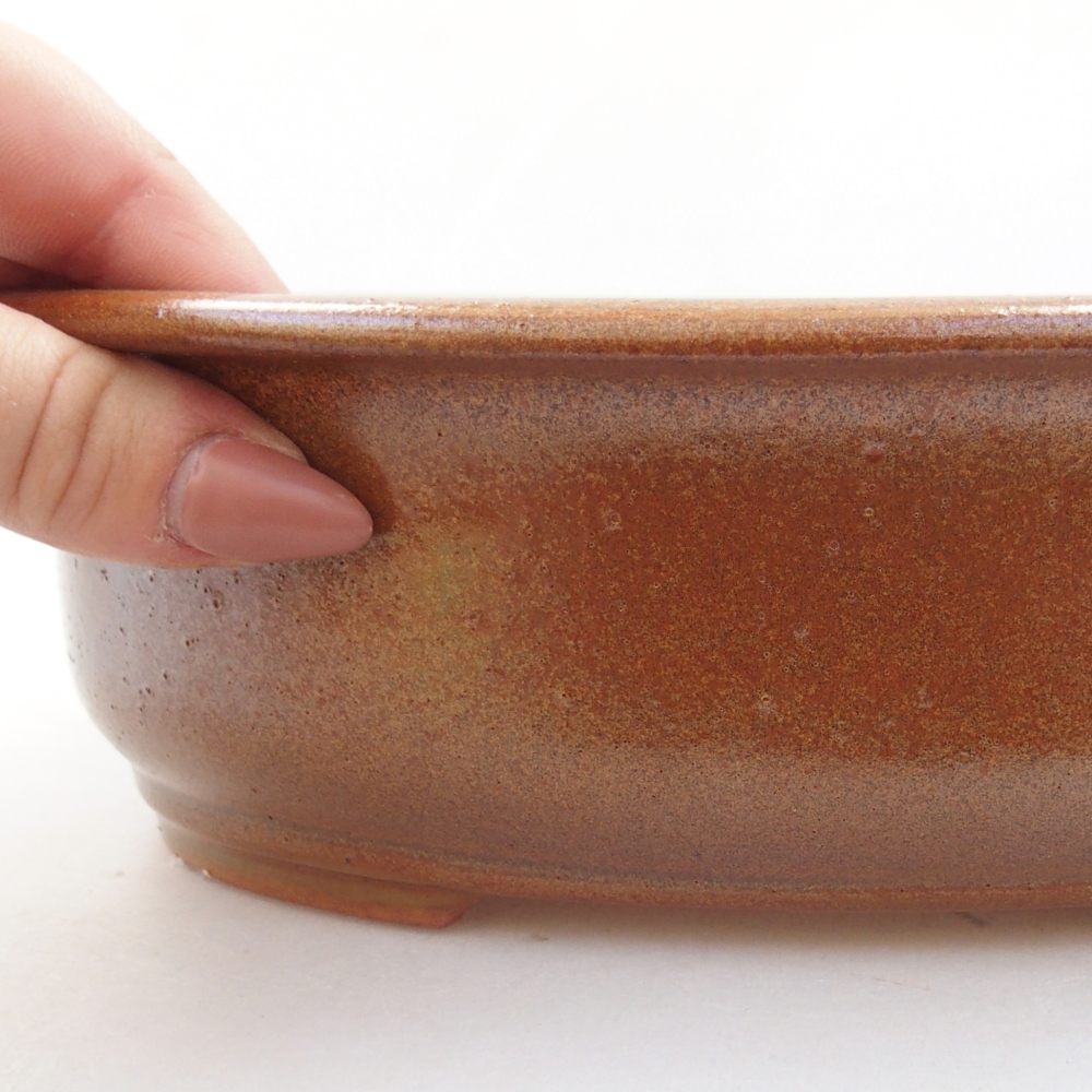 Cuenco bonsái de cerámica 23 x 19,5 x 8 cm, marrón