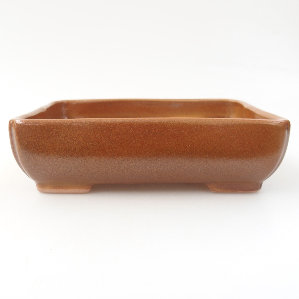 Cuenco bonsái de cerámica 22 x 17 x 5 cm, verde