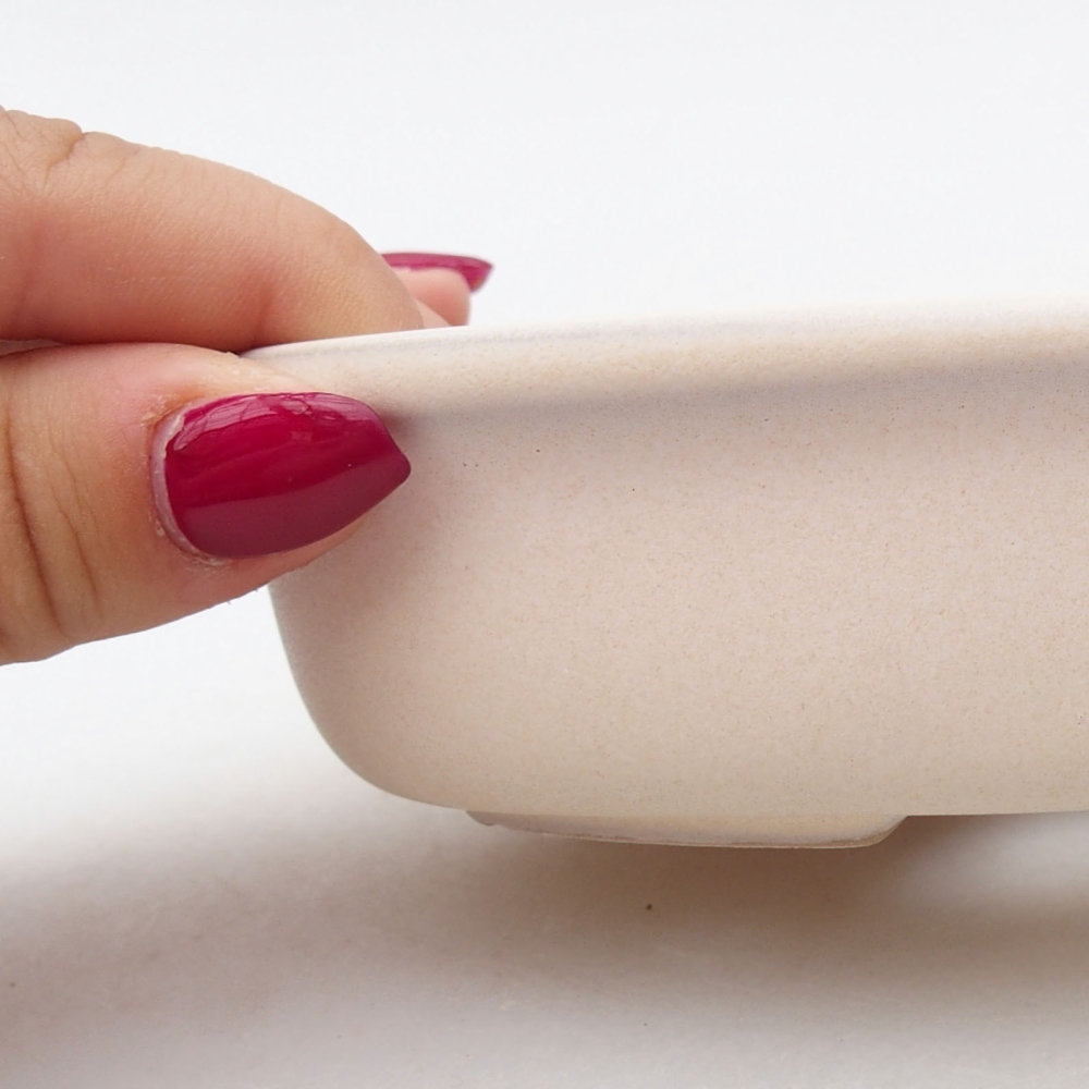 Cuenco bonsái de cerámica 11,5 x 11,5 x 5 cm, beige