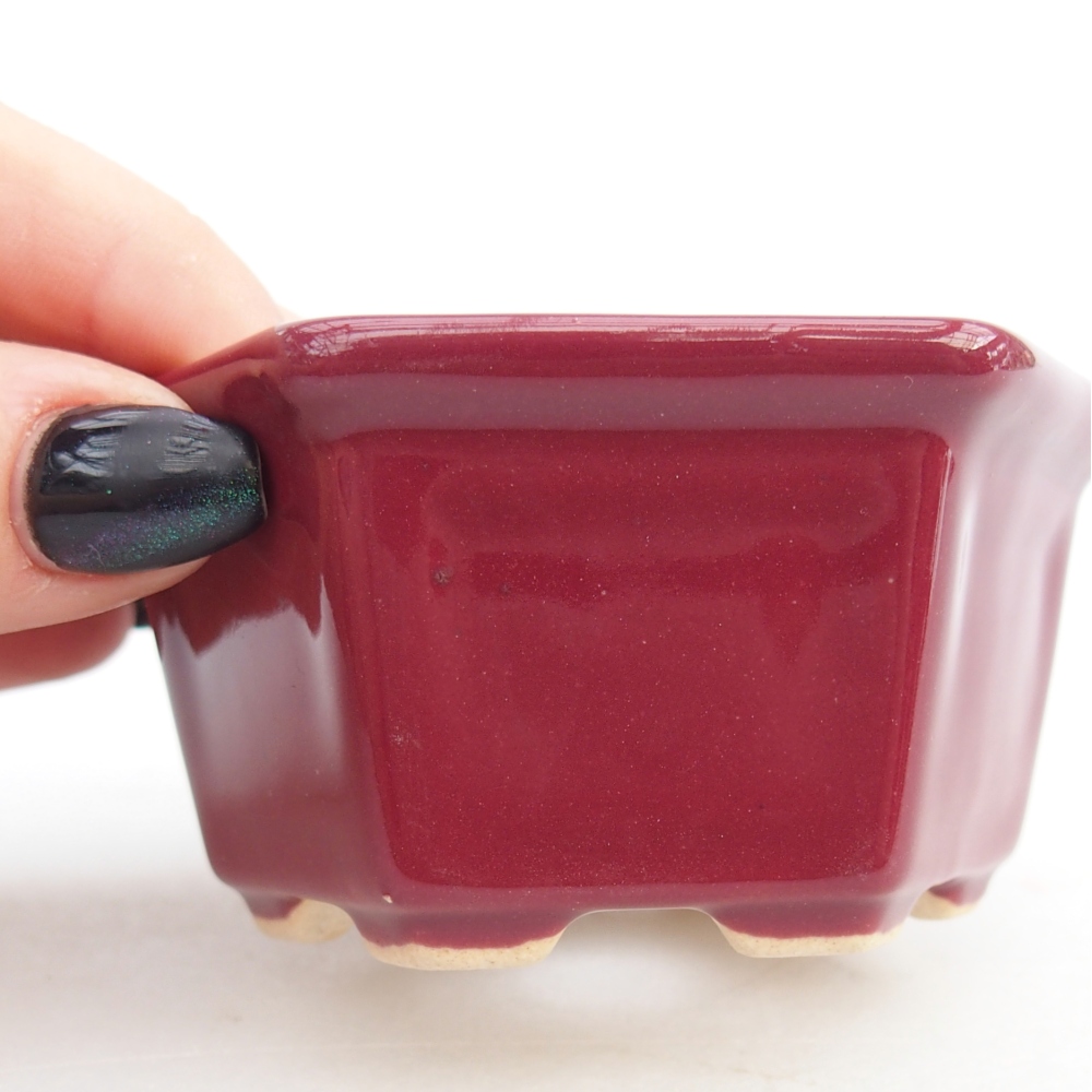 Mini cuenco bonsái 8 x 7 x 4 cm, burdeos