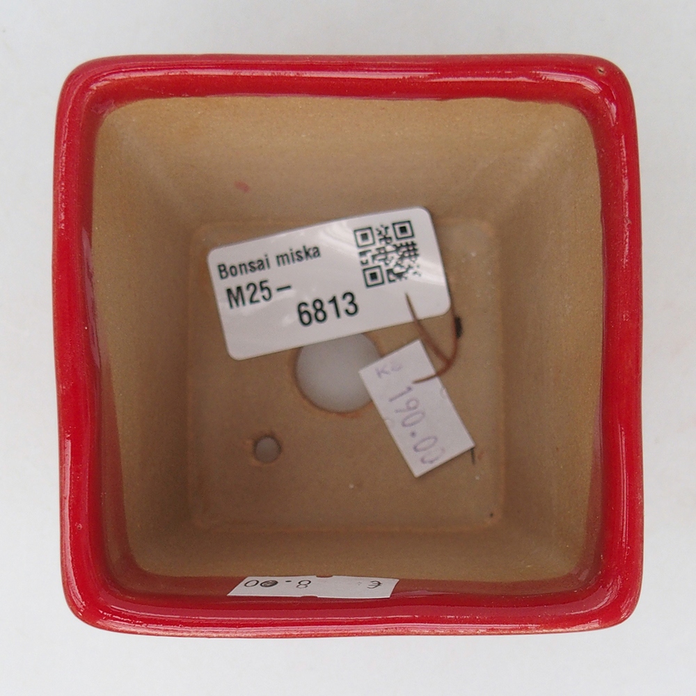 Cuenco bonsái de cerámica 7,5 x 7,5 x 7 cm, color rojo