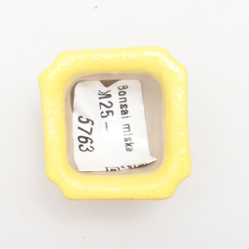Cuenco bonsái de cerámica 3 x 3 x 2 cm, amarillo