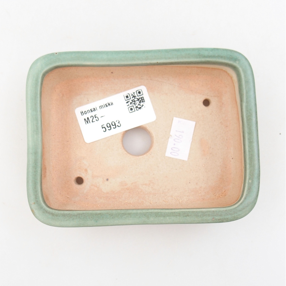 Cuenco bonsái de cerámica 22 x 17 x 5 cm, verde