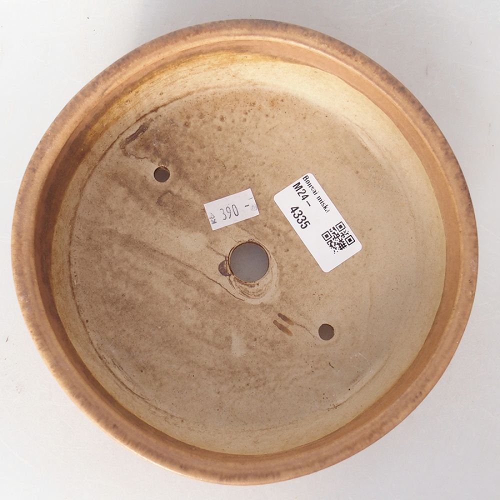 Cuenco bonsái de cerámica 18 x 18 x 5 cm, rosa