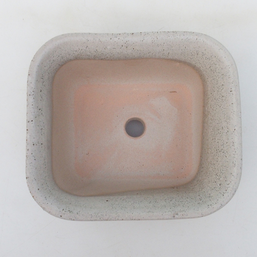 Cuenco bonsái H38 - 12 x 10 x 5,5 cm - beige