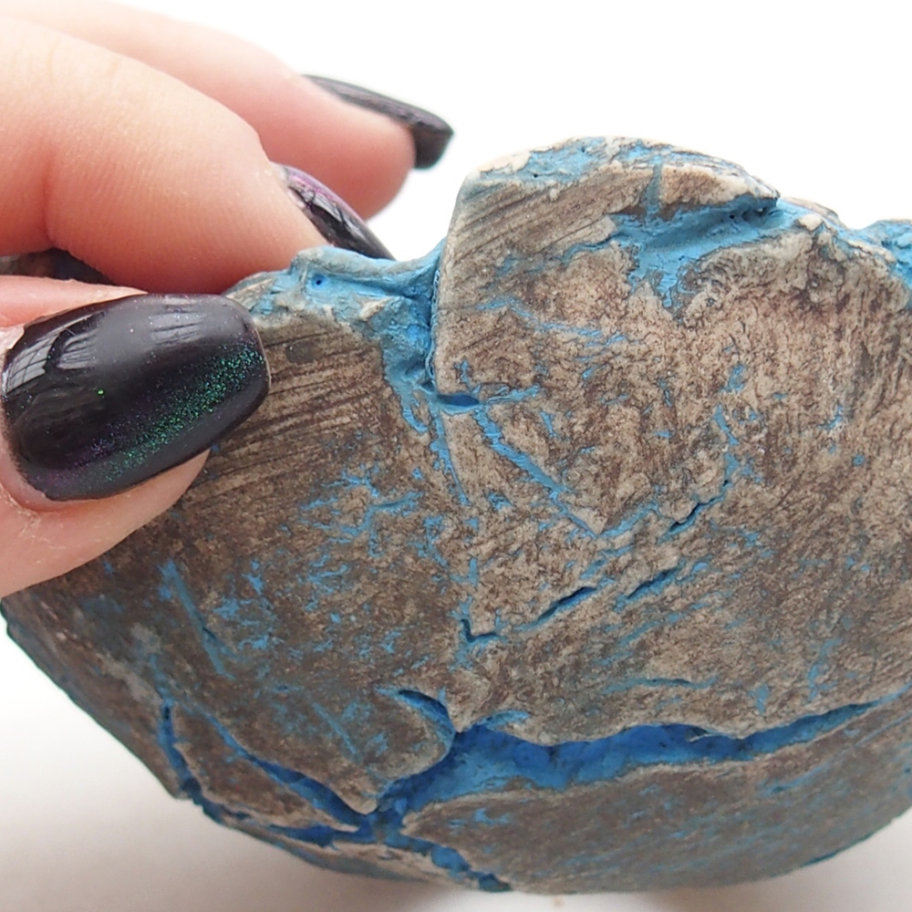 Concha de cerámica 9 x 9 x 5,5 cm , color azul