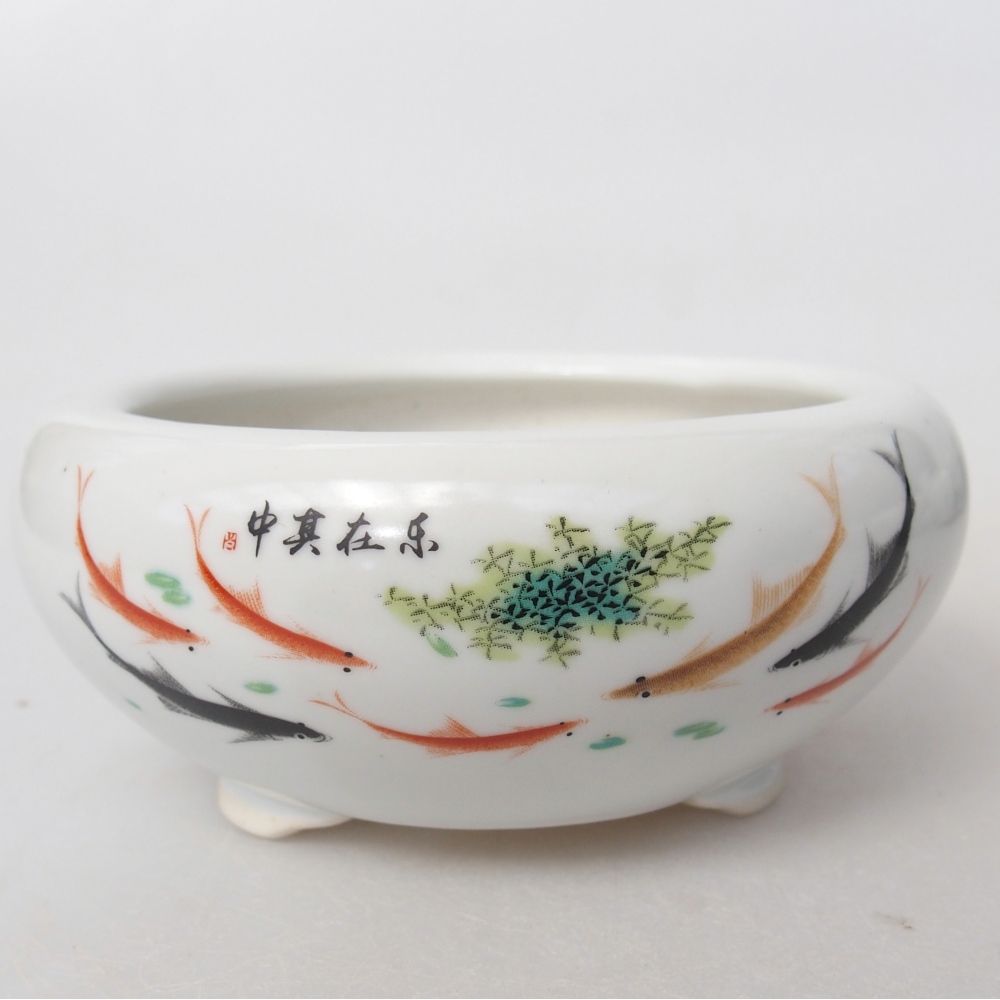 Cuenco bonsái de cerámica 10 x 10 x 5 cm, color blanco