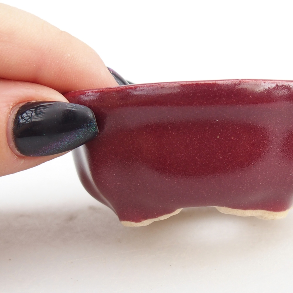 Cuenco mini bonsái 6,5 x 6,5 x 3 cm, burdeos