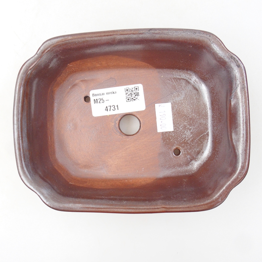 Cuenco bonsái de cerámica 16 x 12 x 5 cm, marrón