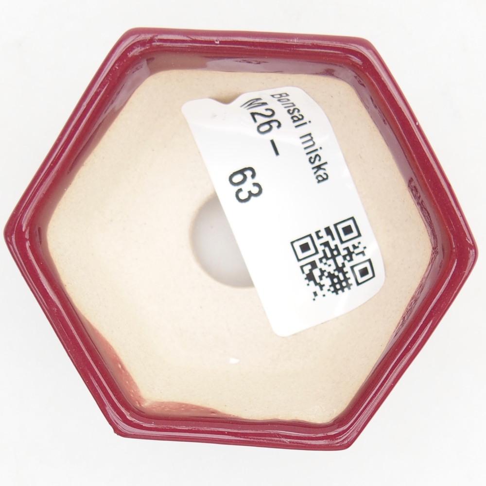Cuenco mini bonsái 6 x 5,5 x 2,5 cm, burdeos