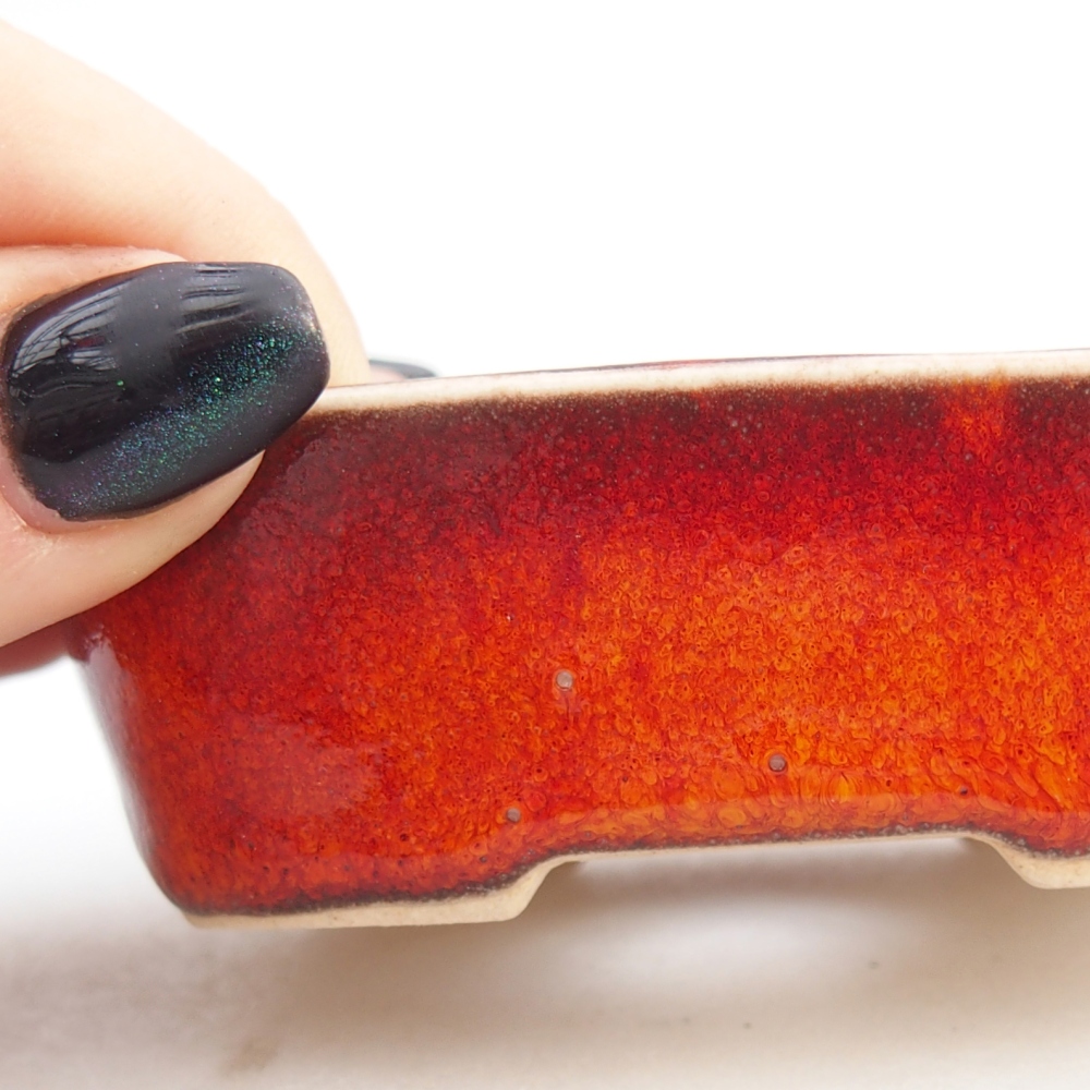 Cuenco mini bonsái 6 x 6 x 2,5 cm, color rojo