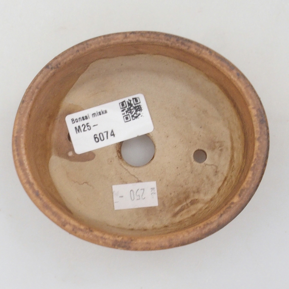 Cuenco bonsái de cerámica 10 x 8,5 x 4 cm, marrón