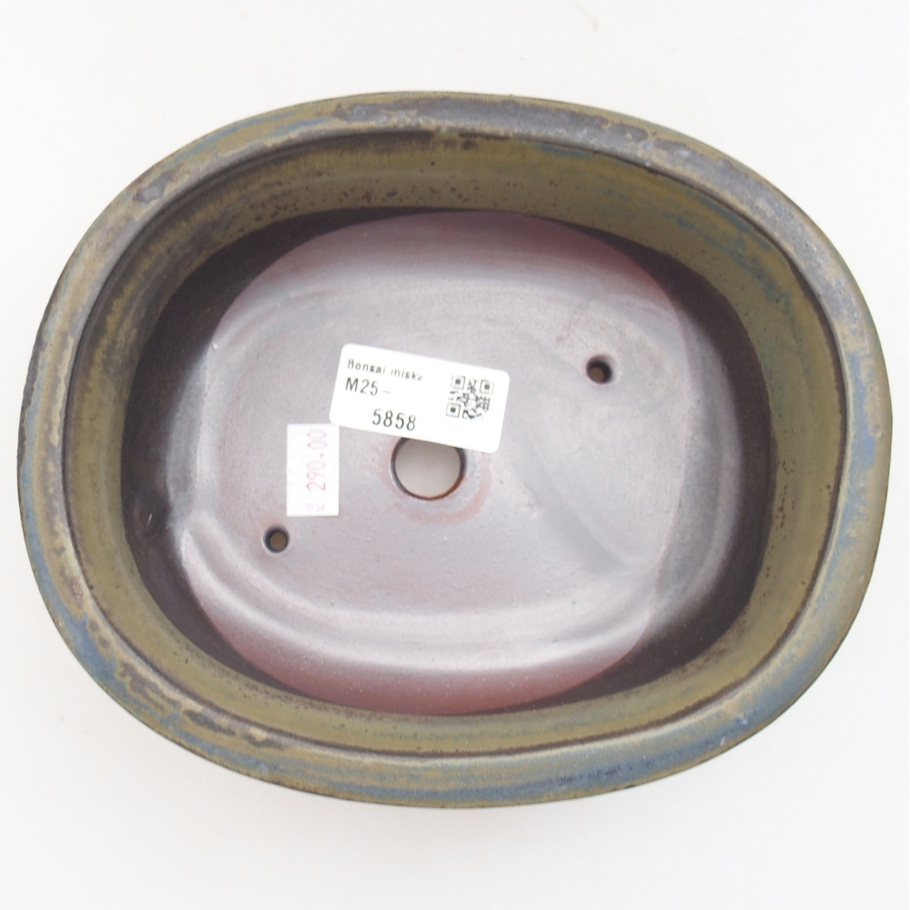 Cuenco bonsái de cerámica 22 x 17 x 5 cm, verde