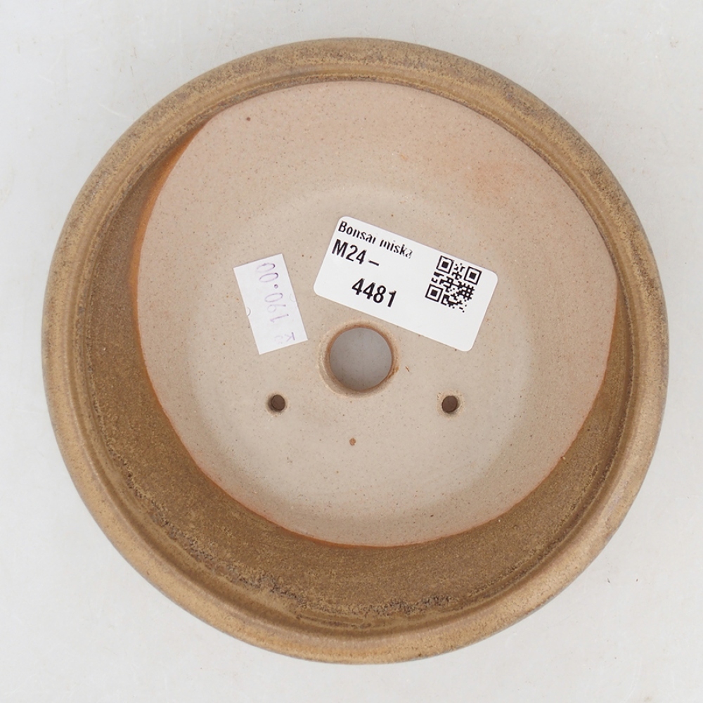 Cuenco bonsái de cerámica 13,5 x 13,5 x 4,5 cm, color beige