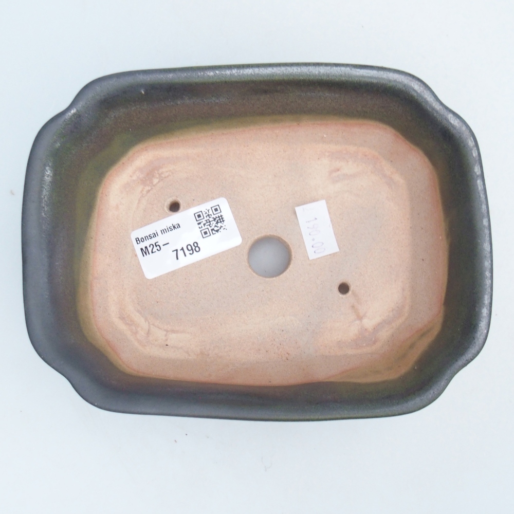 Cuenco bonsái de cerámica 16 x 12 x 5 cm, verde