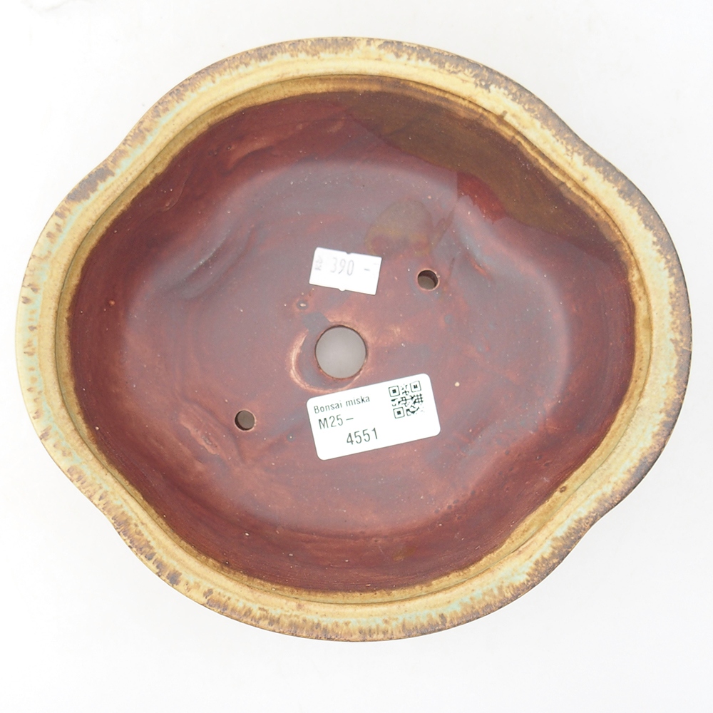 Cuenco bonsái de cerámica 19 x 17 x 6 cm, verde