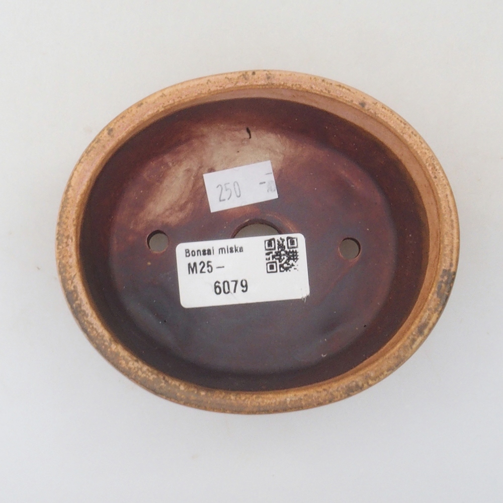 Cuenco bonsái de cerámica 10 x 8,5 x 4 cm, marrón