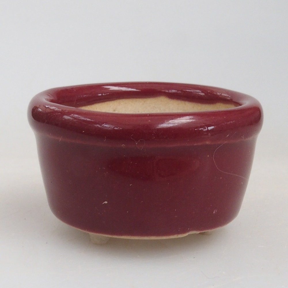 Cuenco mini bonsái 3,5 x 3,5 x 2 cm, burdeos