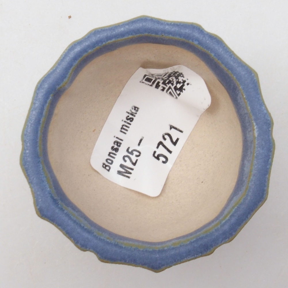 Mini cuenco bonsái 5 x 5 x 3 cm, azul