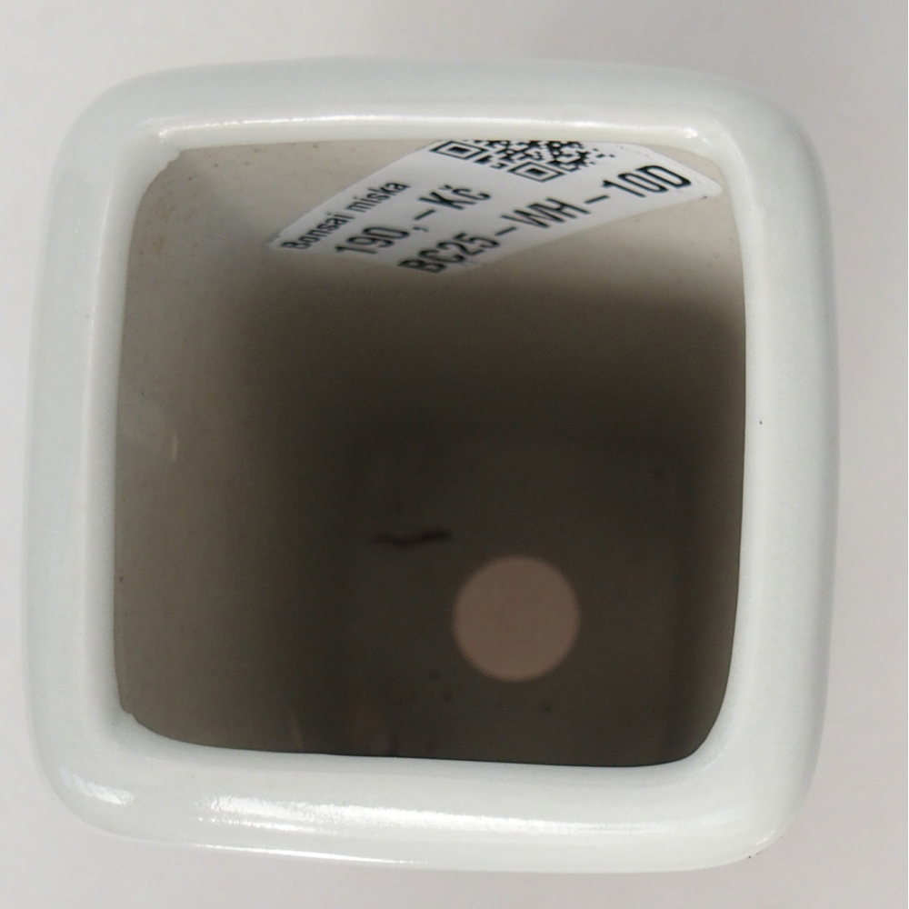 Cuenco bonsái de cerámica 5,5 x 5,5 x 12 cm, color blanco