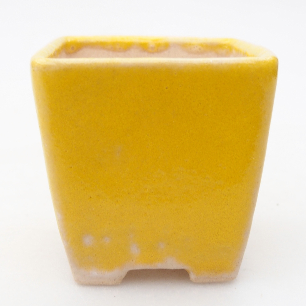 Cuenco mini bonsái 5 x 5 x 5 cm, amarillo