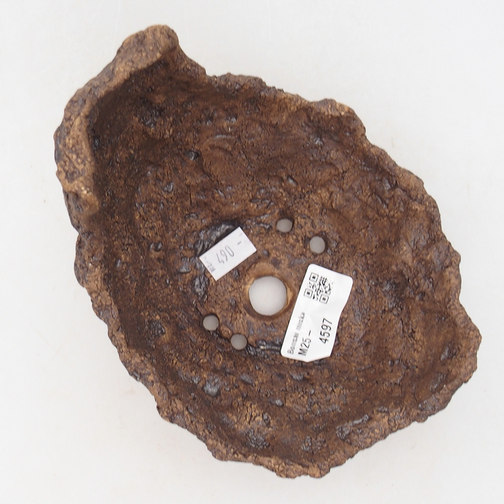 Concha de cerámica 14 x 14 x 13 cm , color marrón