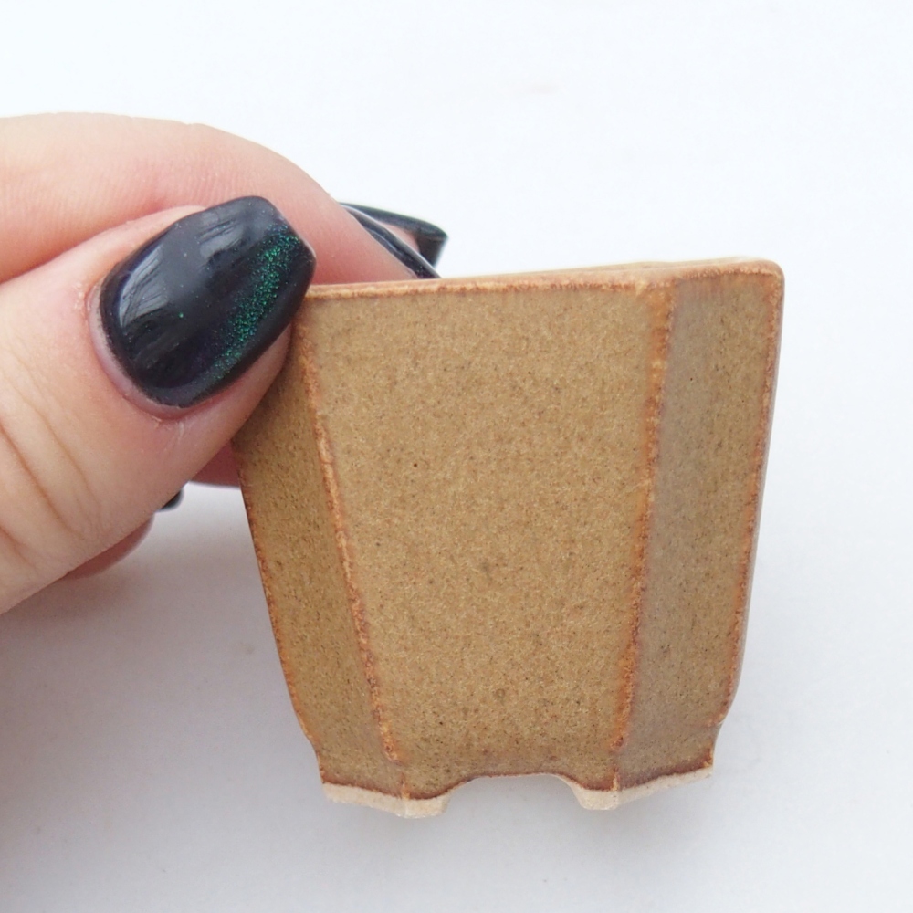 Cuenco mini bonsái 4,5 x 4,5 x 4 cm, marrón