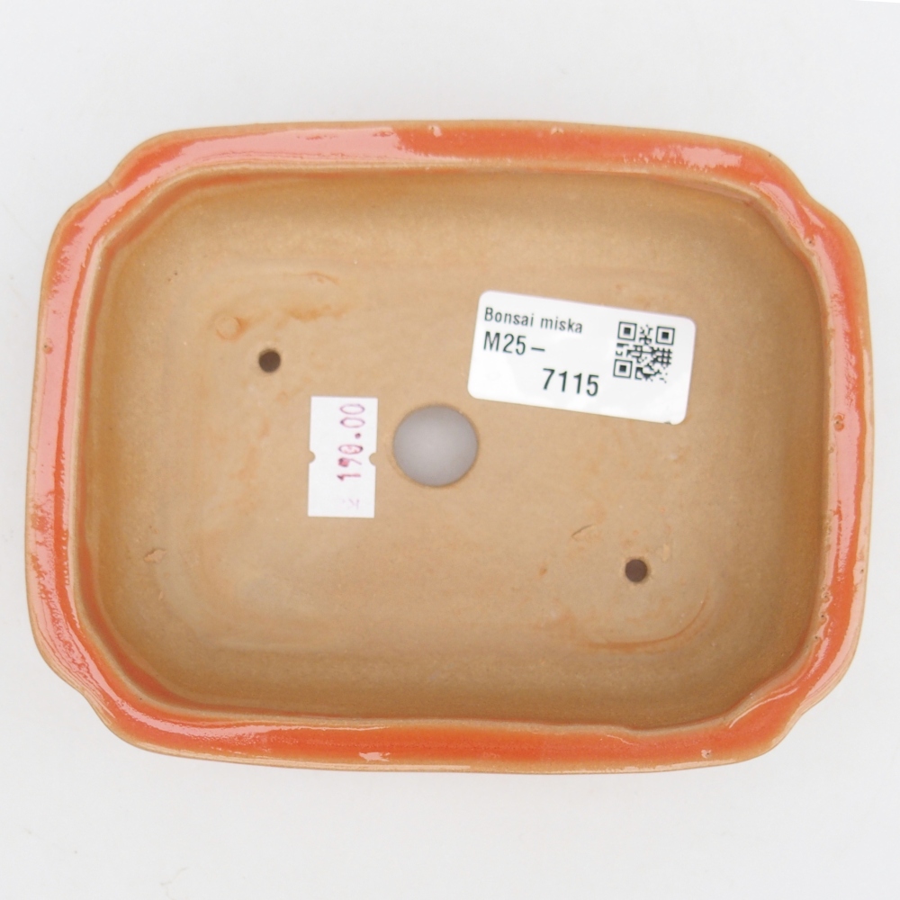 Cuenco bonsái de cerámica 14 x 11 x 4 cm, naranja