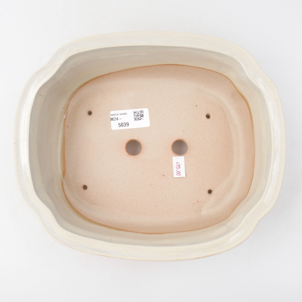 Cuenco bonsái de cerámica 24,5 x 21 x 7 cm, color beige