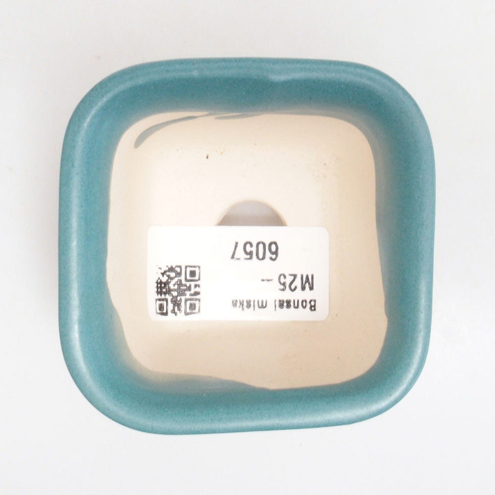 Cuenco bonsái de cerámica 6,5 x 5,5 x 4 cm, color azul