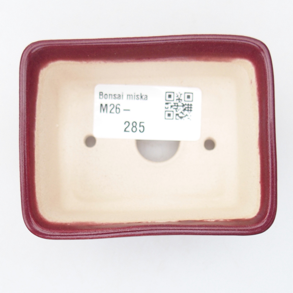 Mini cuenco bonsái 8 x 6,5 x 3,5 cm, burdeos